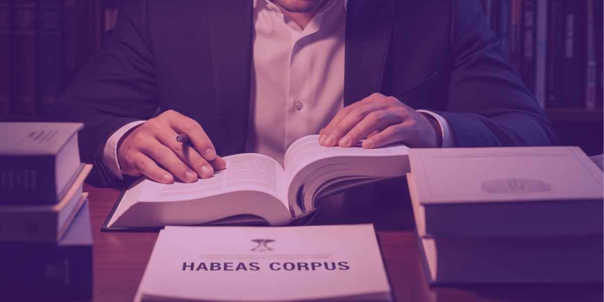 Advogado estudando para elaborar um Habeas Corpus