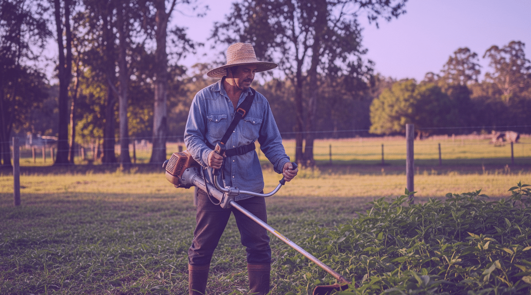 Usucapião Rural: Como funciona e quais são os requisitos?