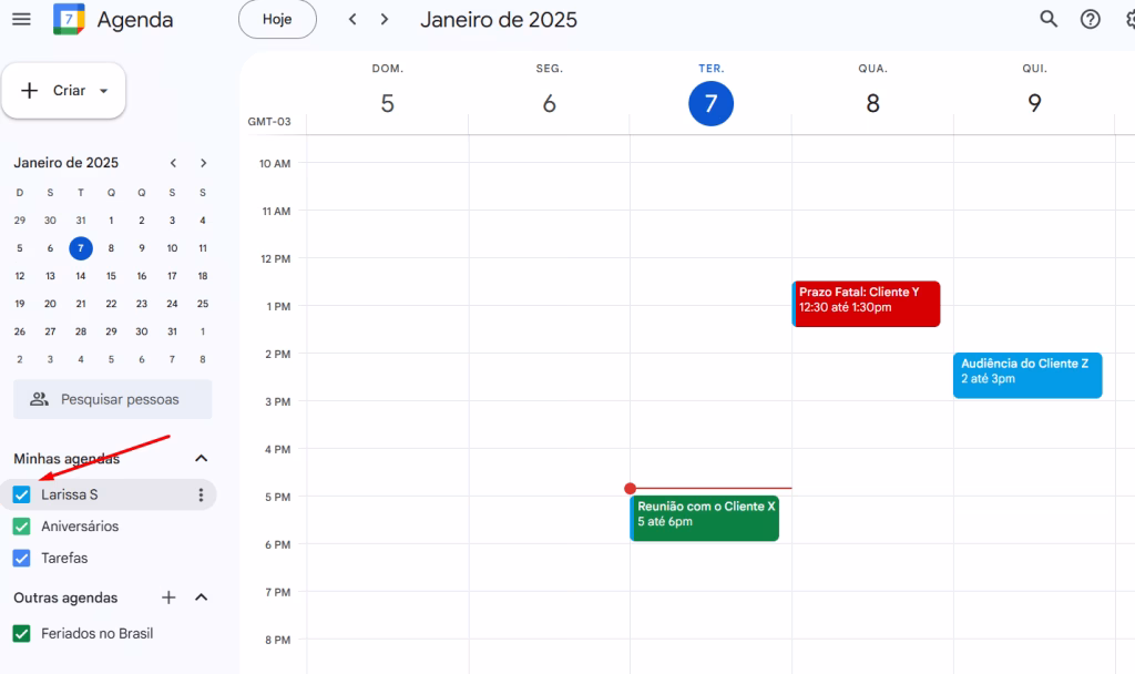 Google Agenda - diferentes agendas