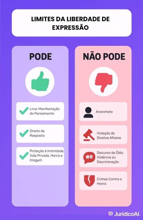 Infográfico mostrando os limites da liberdade de expressão ponderando o que pode e não pode.