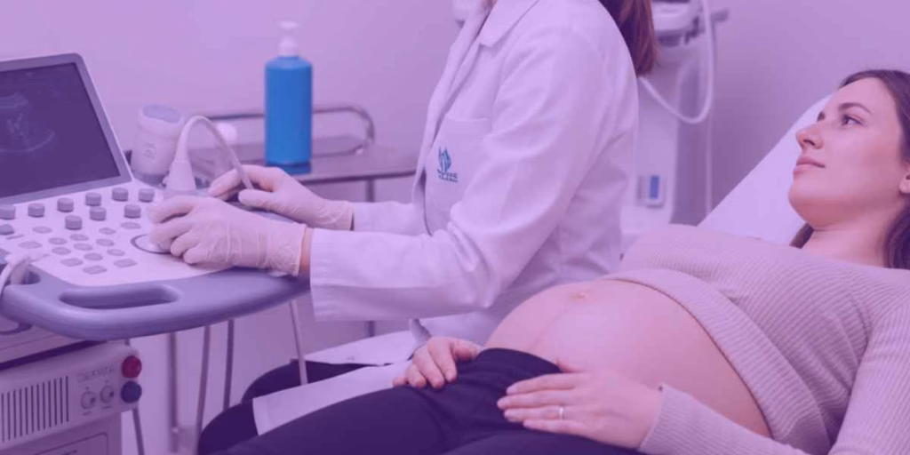 Alimentos Gravídicos: Uma mulher grávida durante sua consulta médica.