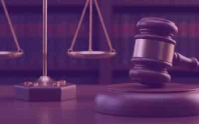 Modelo de Habeas Data atualizado: Estrutura e orientações práticas