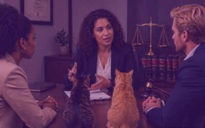 Lei 15.392/2026: O que muda na prática com a guarda compartilhada de animais de estimação